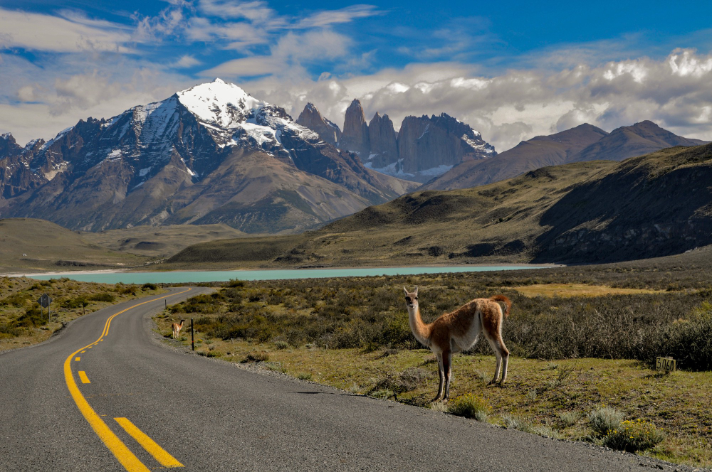 Patagonia y Chile